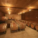 Gite Du Vigneron Turckheim