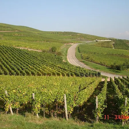 Apartamento Du Vigneron Turckheim