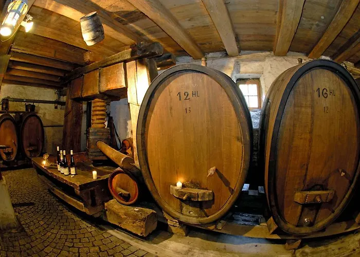 Du Vigneron 투르크하임