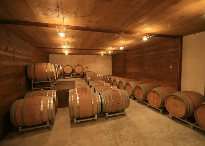 Du Vigneron 투르크하임