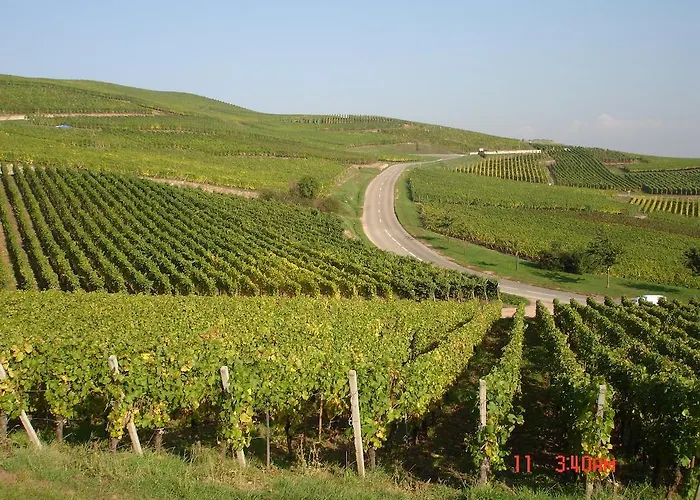 아파트 Du Vigneron 투르크하임